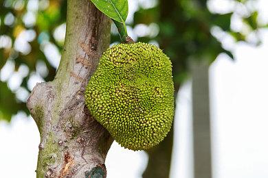 CDPR不断招人 《巫师4》《赛博朋克2》开发团队更庞大